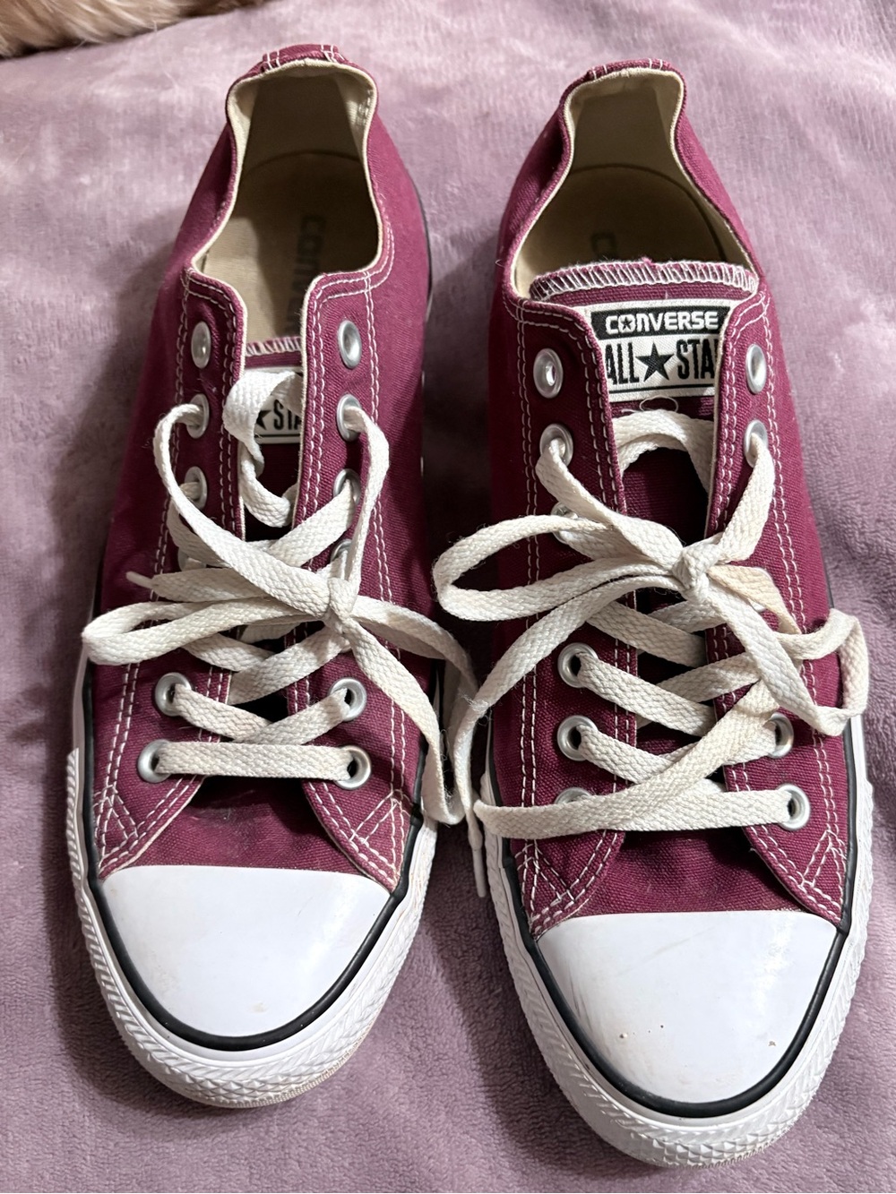 Converse Chuck Taylor All Star Low Top Sneakers